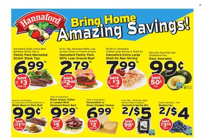 Hannaford (NH) Weekly Ad Flyer July 4 to July 11