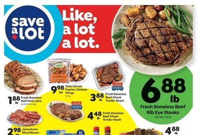 Save a Lot Weekly Ad Flyer July 6 to July 13