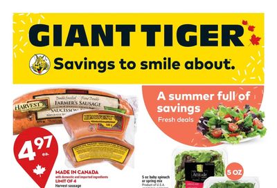 Giant Tiger (West) Flyer July 6 to 12