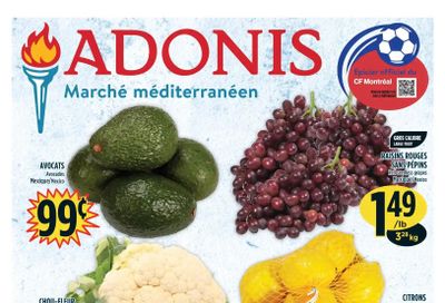 Marche Adonis (QC) Flyer July 14 to 20