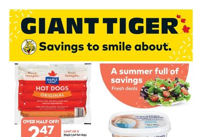 Giant Tiger (Atlantic) Flyer July 13 to 19