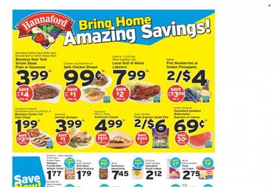 Hannaford (VT) Weekly Ad Flyer July 17 to July 24
