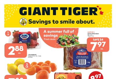 Giant Tiger (West) Flyer July 20 to 26