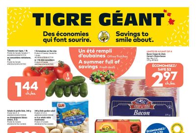 Tigre Géant Flyer July 20 to 26