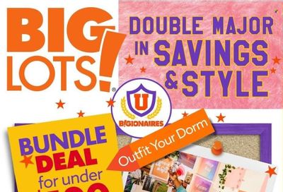 Big Lots Weekly Ad Flyer July 21 to July 28