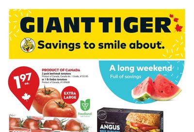 Giant Tiger (ON) Flyer July 27 to August 2