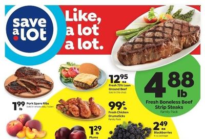 Save a Lot Weekly Ad Flyer July 27 to August 3