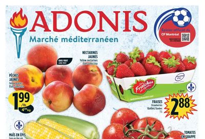Marche Adonis (QC) Flyer August 4 to 10