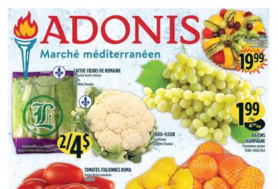 Marche Adonis (QC) Flyer August 11 to 17
