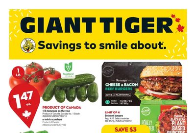Giant Tiger (ON) Flyer August 10 to 16