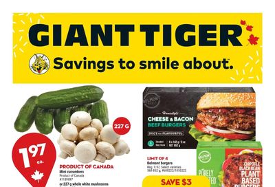 Giant Tiger (West) Flyer August 10 to 16
