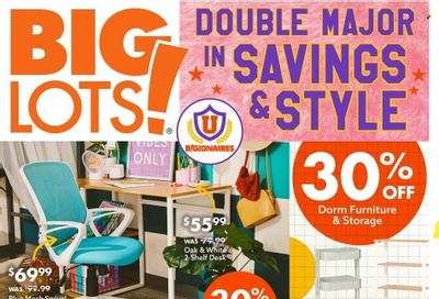 Big Lots Weekly Ad Flyer Specials August 13 to August 20, 2022