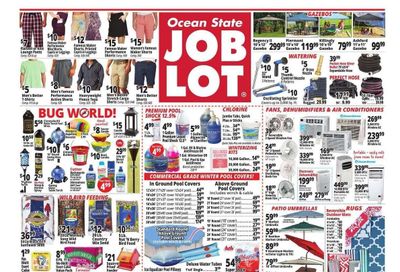 Ocean State Job Lot (CT, MA, ME, NH, NY, RI, VT) Weekly Ad Flyer Specials August 11 to August 17, 2022