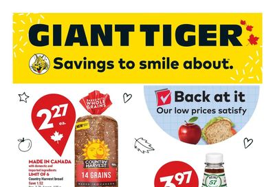Giant Tiger (ON) Flyer August 17 to 23