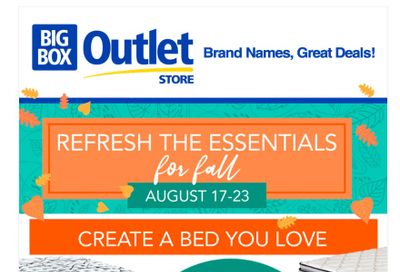 Big Box Outlet Store Flyer August 17 to 23