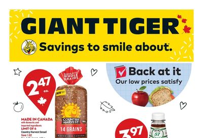 Giant Tiger (Atlantic) Flyer August 17 to 23