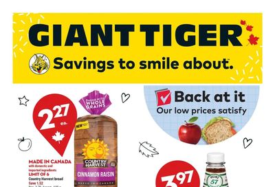 Giant Tiger (West) Flyer August 17 to 23