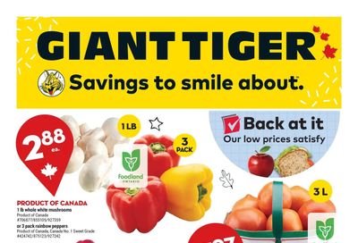 Giant Tiger (ON) Flyer August 24 to 30