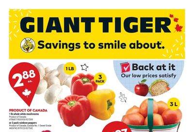 Giant Tiger (Atlantic) Flyer August 24 to 30