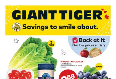 Giant Tiger (West) Flyer August 24 to 30