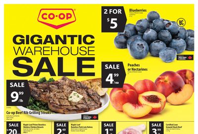 Co-op (West) Food Store Flyer August 25 to 31