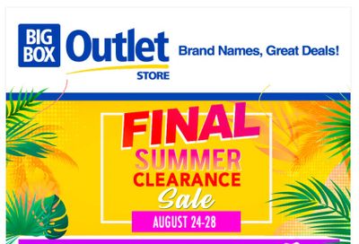 Big Box Outlet Store Flyer August 24 to 28