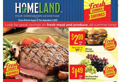 Homeland (OK, TX) Weekly Ad Flyer Specials August 31 to September 6, 2022