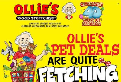Ollie's Bargain Outlet Weekly Ad Flyer Specials September 13 to September 21, 2022