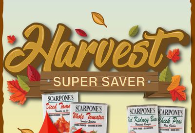 AG Foods Super Saver Monthly Flyer October 2 to 29