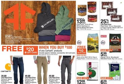 Fleet Farm (IA, MN, ND, WI) Weekly Ad Flyer Specials September 30 to October 8, 2022