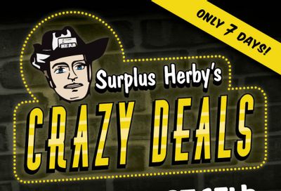 Surplus Herby's Flyer October 17 to 23
