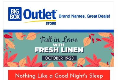Big Box Outlet Store Flyer October 19 to 25