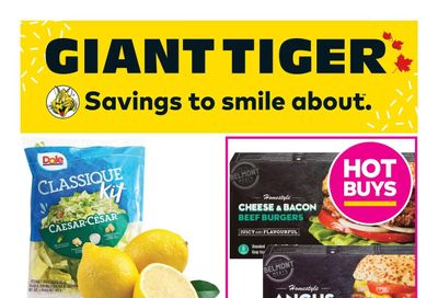 Giant Tiger (Atlantic) Flyer October 19 to 25