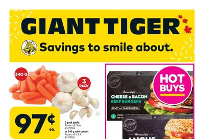 Giant Tiger (West) Flyer October 19 to 25