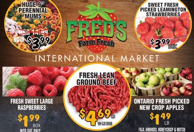 Fred's Farm Fresh Flyer October 19 to 25