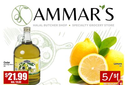 Ammar's Halal Meats Flyer October 20 to 26