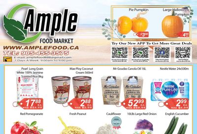 Ample Food Market (Brampton) Flyer October 21 to 27