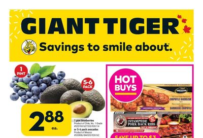 Giant Tiger (ON) Flyer October 26 to November 1