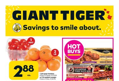 Giant Tiger (West) Flyer October 26 to November 1