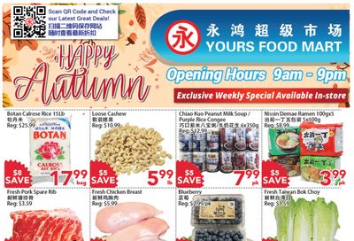 Yours Food Mart Flyer October 28 to November 3