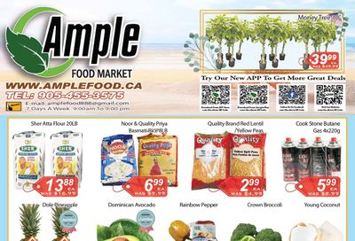 Ample Food Market (Brampton) Flyer October 28 to November 3