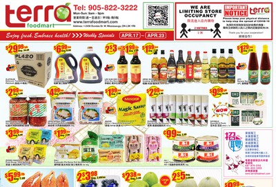 Terra Foodmart Flyer April 17 to 23