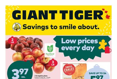 Giant Tiger (ON) Flyer November 2 to 8