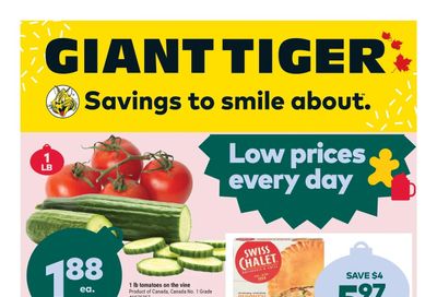 Giant Tiger (West) Flyer November 2 to 8