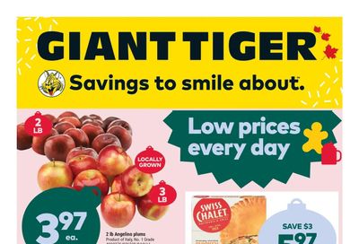 Giant Tiger (Atlantic) Flyer November 2 to 8