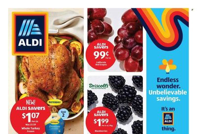 ALDI (MI, MN, NJ, NY, PA, VT) Weekly Ad Flyer Specials November 6 to November 12, 2022