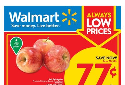 Walmart (ON) Flyer November 10 to 16