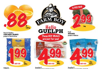 Farm Boy (Guelph) Flyer November 10 to 16