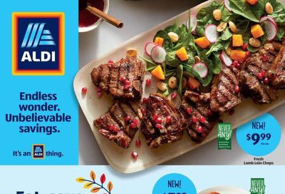ALDI Weekly Ad Flyer Specials November 9 to November 15, 2022