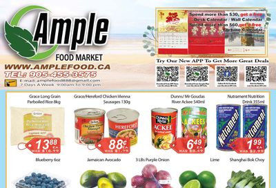 Ample Food Market (Brampton) Flyer November 11 to 17